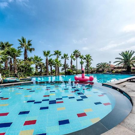 Palm Valley Resort Seogwipo Bagian luar foto